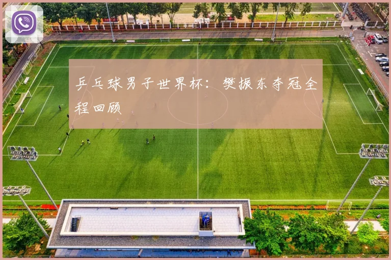 乒乓球男子世界杯：樊振东夺冠全程回顾